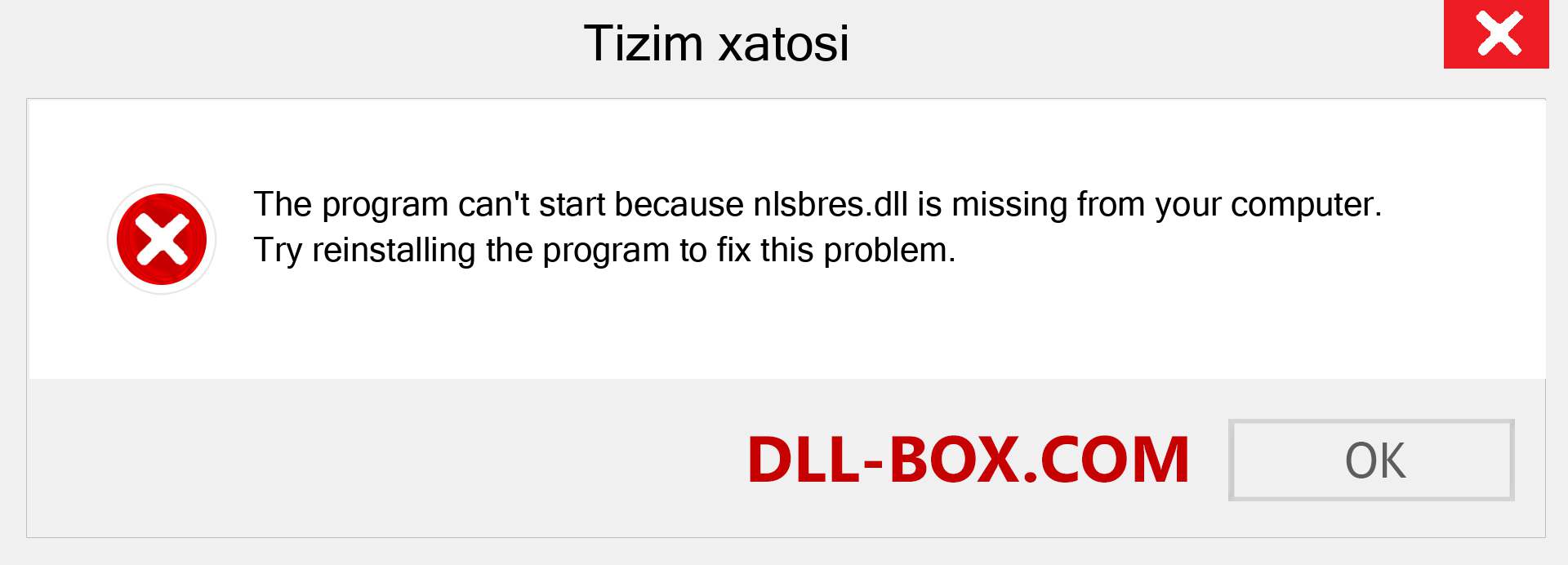 nlsbres.dll fayli yo'qolganmi?. Windows 7, 8, 10 uchun yuklab olish - Windowsda nlsbres dll etishmayotgan xatoni tuzating, rasmlar, rasmlar